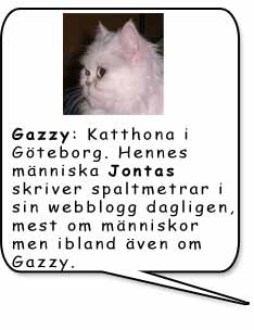Gazzy/Jontas